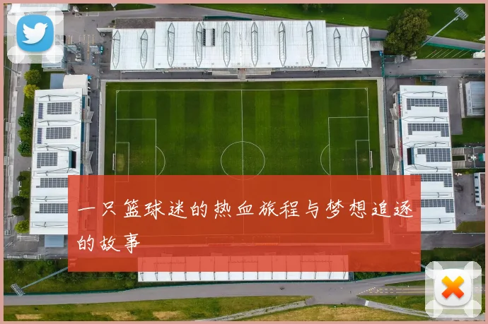 一只篮球迷的热血旅程与梦想追逐的故事