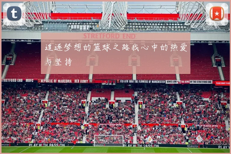 追逐梦想的篮球之路我心中的热爱与坚持