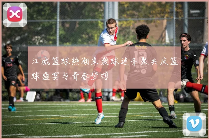 江城篮球热潮来袭球迷齐聚共庆篮球盛宴与青春梦想