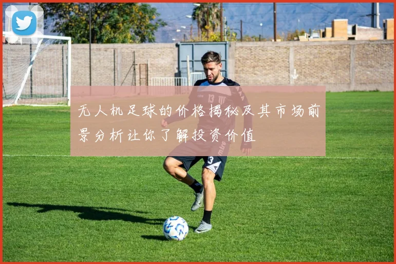 无人机足球的价格揭秘及其市场前景分析让你了解投资价值