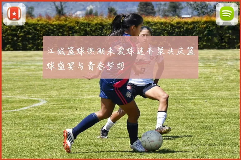 江城篮球热潮来袭球迷齐聚共庆篮球盛宴与青春梦想