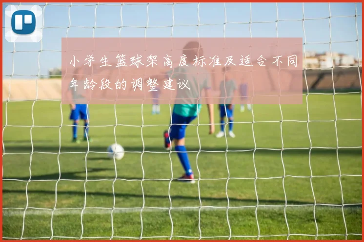 小学生篮球架高度标准及适合不同年龄段的调整建议